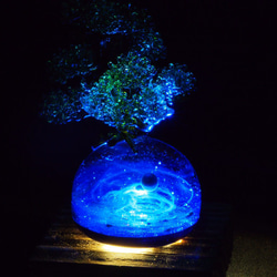 「space Bonsai」  宇宙 ガラス 9枚目の画像