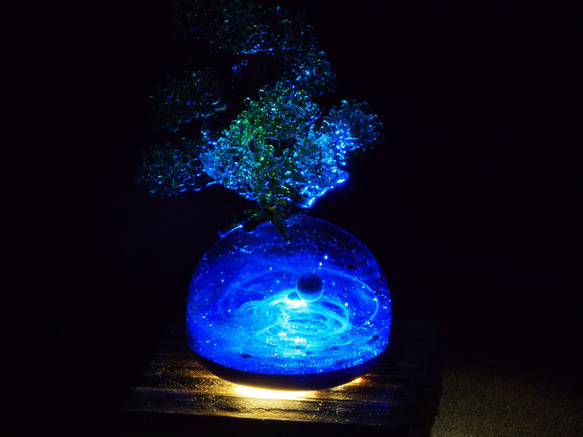 「space Bonsai」  宇宙 ガラス 9枚目の画像