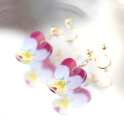 ビオラのイヤリング・ピアス / パープル＆イエロー 2枚目の画像