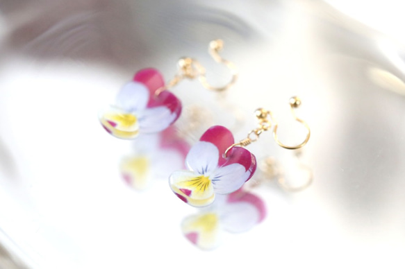 ビオラのイヤリング・ピアス / パープル＆イエロー 2枚目の画像