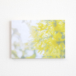 和紙と木のインテリアフォトパネル / Mimosa, Yellow Shine 1枚目の画像