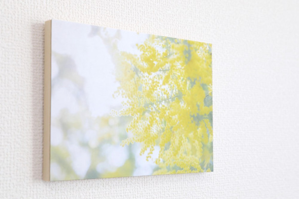 和紙と木のインテリアフォトパネル / Mimosa, Yellow Shine 2枚目の画像
