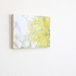 和紙と木のインテリアフォトパネル / Mimosa, Yellow Shine 3枚目の画像