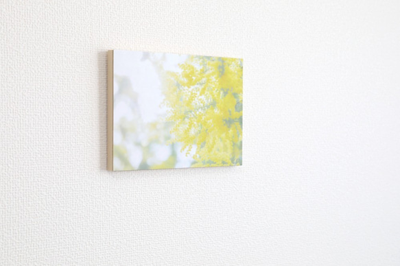 和紙と木のインテリアフォトパネル / Mimosa, Yellow Shine 3枚目の画像
