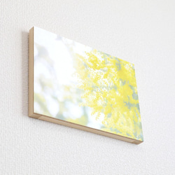 和紙と木のインテリアフォトパネル / Mimosa, Yellow Shine 4枚目の画像