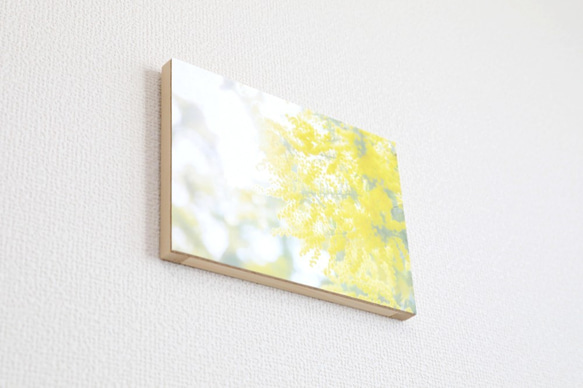 和紙と木のインテリアフォトパネル / Mimosa, Yellow Shine 4枚目の画像