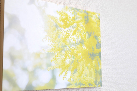 和紙と木のインテリアフォトパネル / Mimosa, Yellow Shine 5枚目の画像