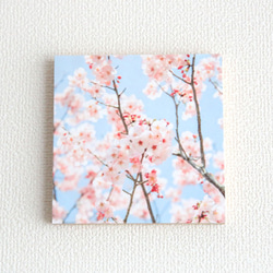 和紙と木のインテリアフォトパネル / 春薫る 1枚目の画像