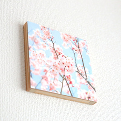 和紙と木のインテリアフォトパネル / 春薫る 2枚目の画像