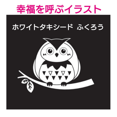 オカピー＊フクロウイラスト付きアクリル表札＊4辺45度斜めカット＊ＵＶ印刷 オカピー様専用＊フクロウイラスト付きアクリル表札＊4辺45度