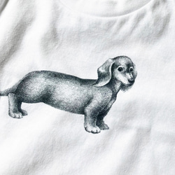 ＜親子ペアセット！ダックスフントTシャツ・ホワイト＞　お揃い　犬　動物　シンプル 8枚目の画像