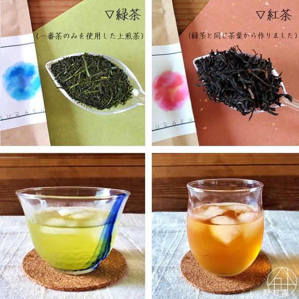 《名入れ／メッセージ／熨斗OK》狭山茶＆フィルターインボトルセット　緑茶・紅茶 4枚目の画像