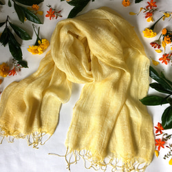 1_12d037be1a1b9f74c7ba17607fd1