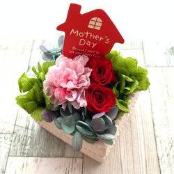 ♥母の日♥母の月♥　Mother's Day ビスケットポット 1枚目の画像