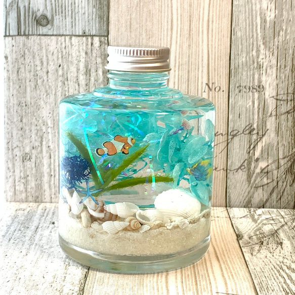 カラフル スターフィッシュ   ミニヒトデ　レジン ハーバリウム ハーバリウム スタッキング オーシャン ハーバリウム・植物標本 D
