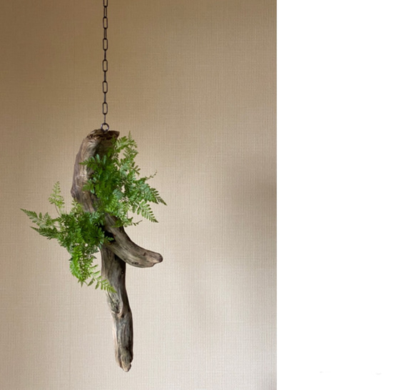 流木 吊りしのぶ 盆栽 凛華〜rinca〜 通販 12209255｜Creema(クリーマ)