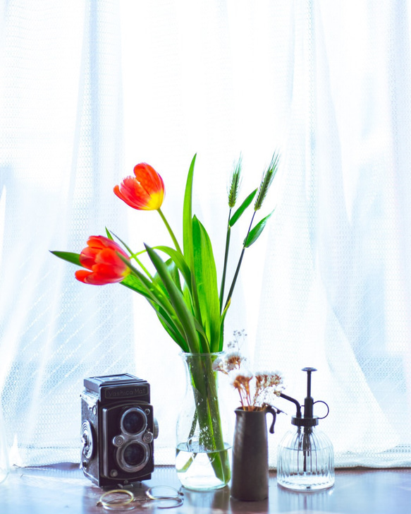 「 春のカーテン 」イヤリング/ピアス *チェコガラスボタン・チューリップ・花・水色・ピンク・透明感・大ぶり* 8枚目の画像