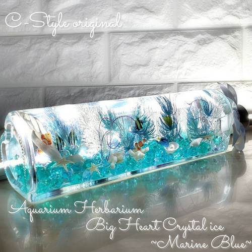 out ❁ミニスワッグ 標本フレーム&ミニハーバリュウムset❁