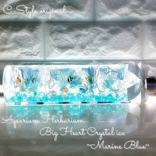 out ❁ミニスワッグ 標本フレーム&ミニハーバリュウムset❁