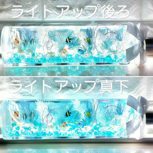 out ❁ミニスワッグ 標本フレーム&ミニハーバリュウムset❁