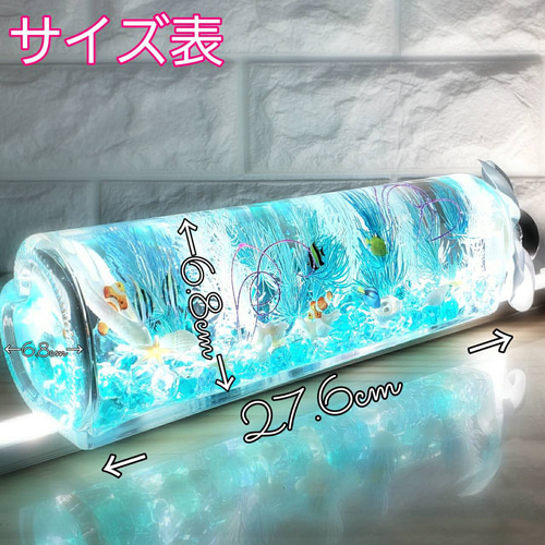 out ❁ミニスワッグ 標本フレーム&ミニハーバリュウムset❁