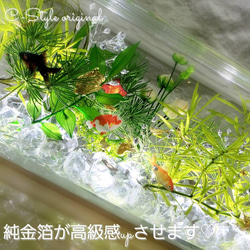 レア出品 限定 涼しい夏の水槽  横置きBig ～和～Gold fish 5枚目の画像