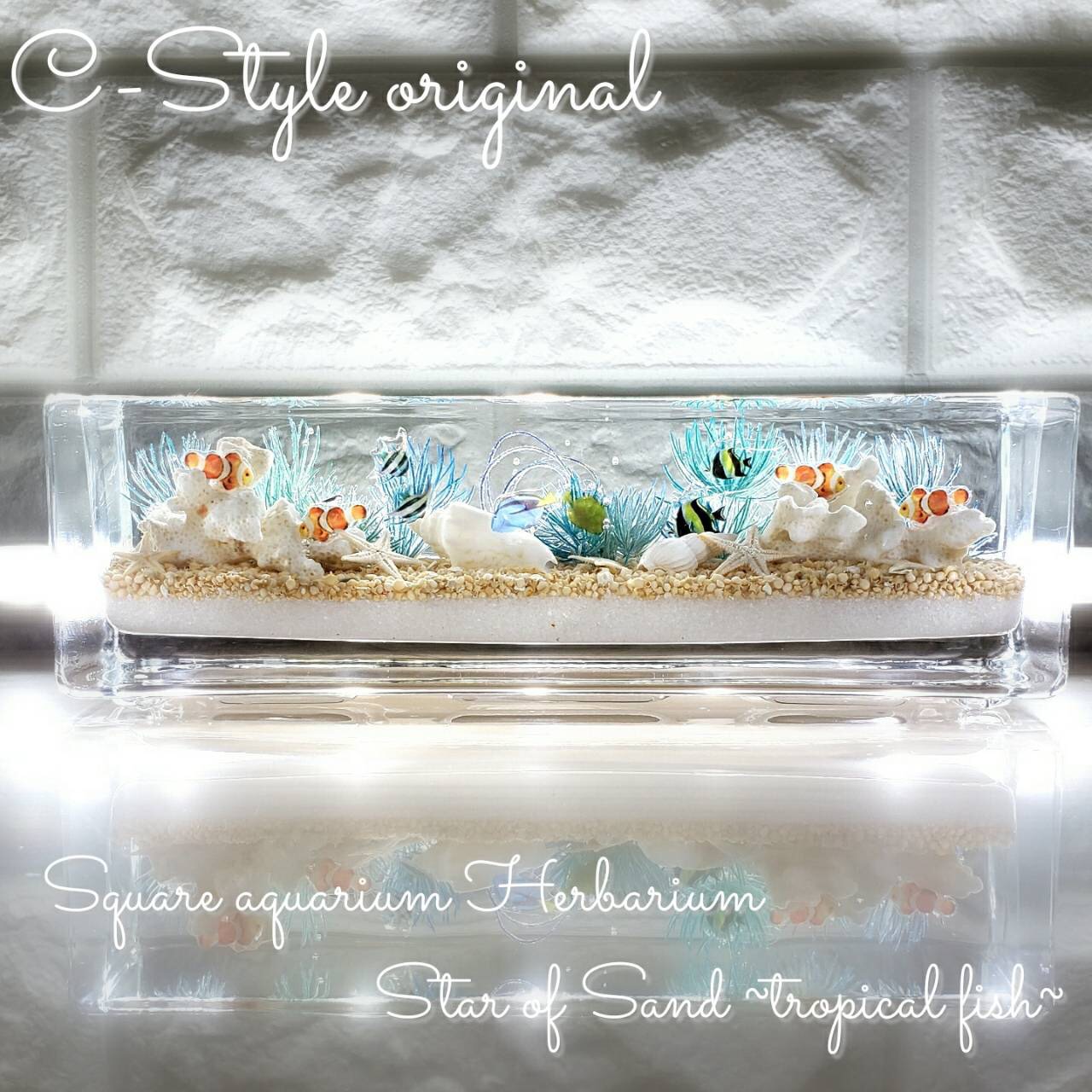 可愛い 海ハーバリウム Square aquarium ハーバリウム 14,804円