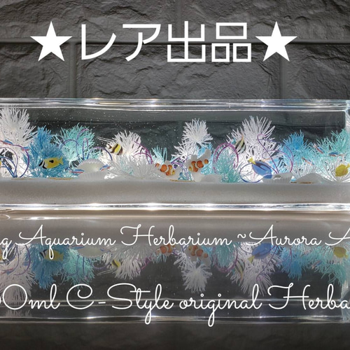 限定 BIG 横置き アクアリウム ハーバリウム ～aqua Aurora～ ハー 