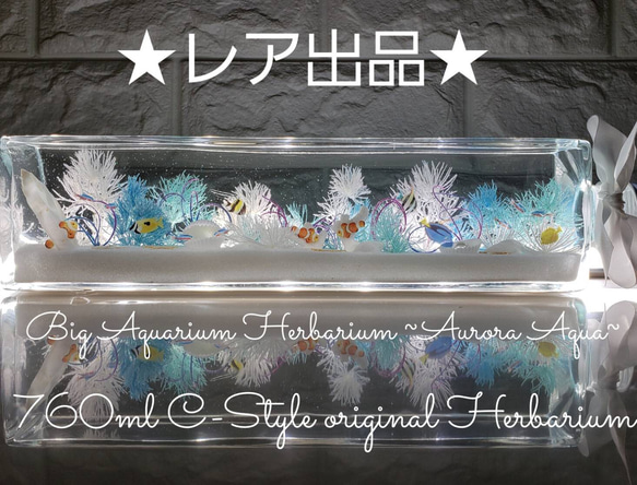 限定 BIG 横置き アクアリウム ハーバリウム ～aqua Aurora～ ハー 
