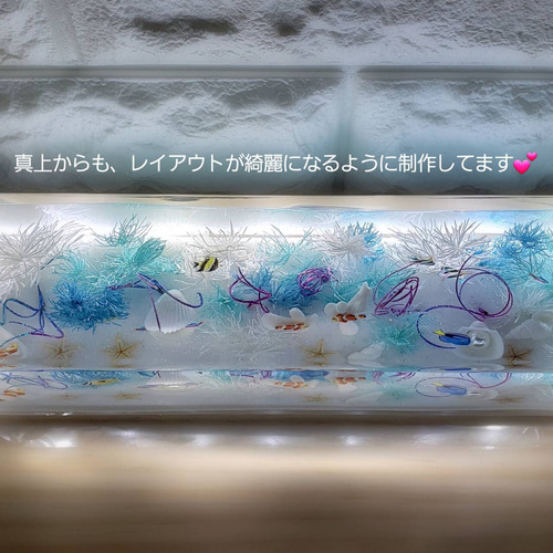限定 BIG 横置き アクアリウム ハーバリウム ～aqua Aurora～ ハー 