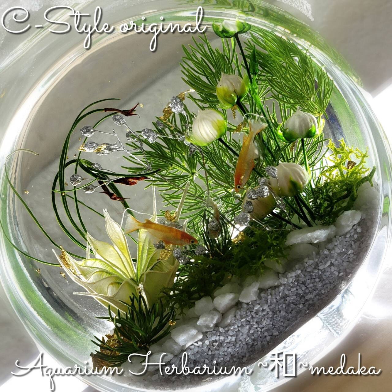 アクアリウム ハーバリウム ～和～medaka 純金箔入り