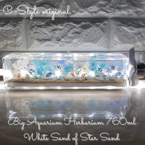 限定 Big ハーバリウム 天然星の砂 海ハーバリウム ハーバリウム・植物