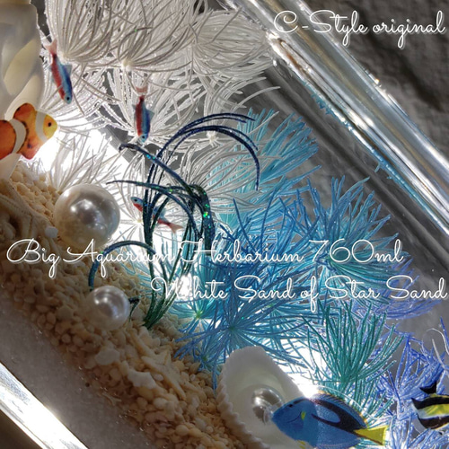 限定 Big ハーバリウム 天然星の砂 海ハーバリウム ハーバリウム・植物