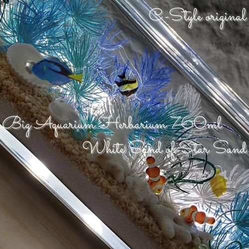 限定 Big ハーバリウム 天然星の砂 海ハーバリウム ハーバリウム・植物  