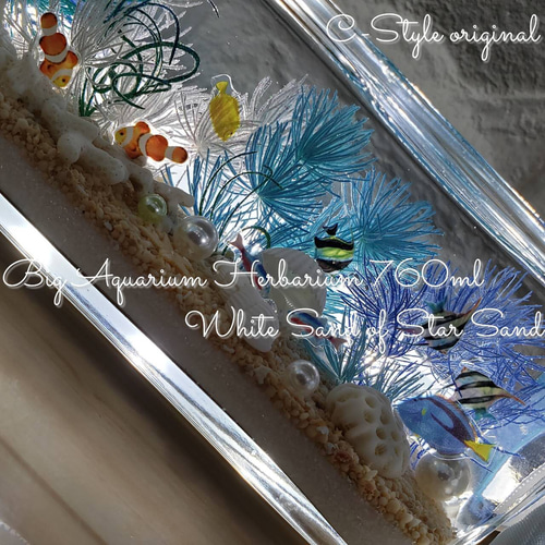 限定 Big ハーバリウム 天然星の砂 海ハーバリウム ハーバリウム・植物