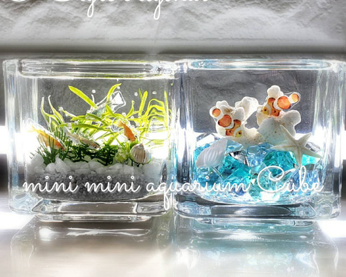 綺麗な 海ハーバリウム ～mini mini aquarium CUBE～