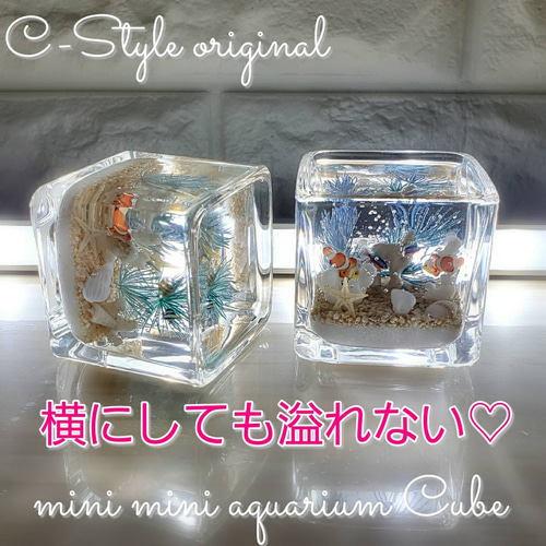 綺麗な 海ハーバリウム ～mini mini aquarium CUBE～ プリザーブド ...