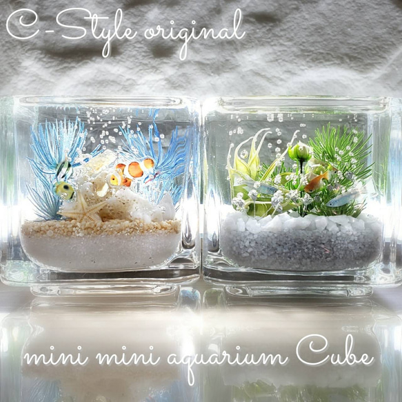 可愛い 海ハーバリウム ～mini mini aquarium CUBE～ ハーバリウム