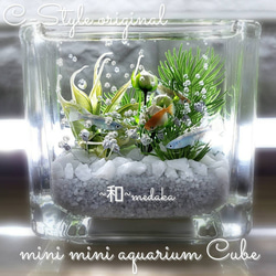 可愛い 海ハーバリウム  ～mini mini aquarium CUBE～ 3枚目の画像