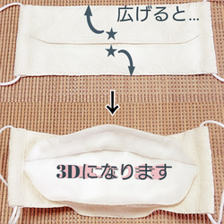 【送料無料】★ぺったんこ3Dマスク(ノーズワイヤー入り)★ コットン刺繍レース生地(ペイズリー）大人用 4枚目の画像