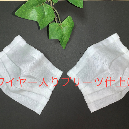 インナーマスク 白 ワイヤー入りプリーツ仕上げ 2枚 その他  