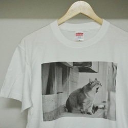 街ねこ あくびTシャツ(Lサイズ) 1枚目の画像