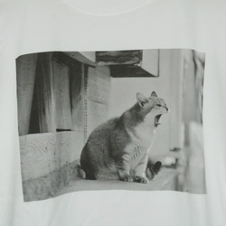 街ねこ あくびTシャツ(Lサイズ) 2枚目の画像