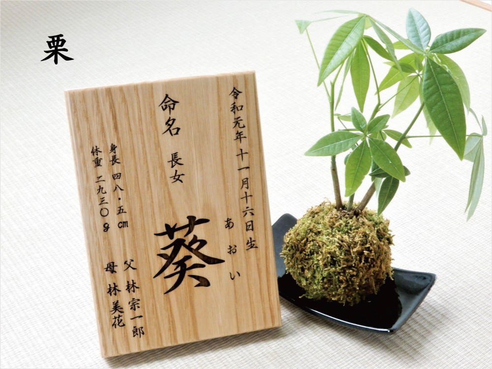 【命名書】無垢の木の命名書 家紋 名前札 名前旗 節句 B6