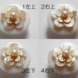 ●帯留　shell flower●or 3枚目の画像