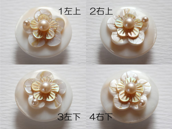 ●帯留　shell flower●or 3枚目の画像