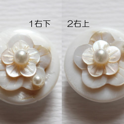 ●帯留　shell flower●wh 4枚目の画像