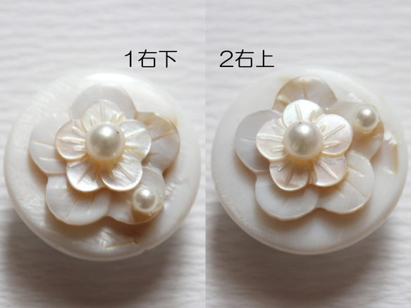 ●帯留　shell flower●wh 4枚目の画像