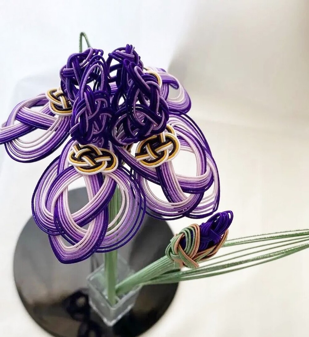 菖蒲の花と蕾　端午の節句