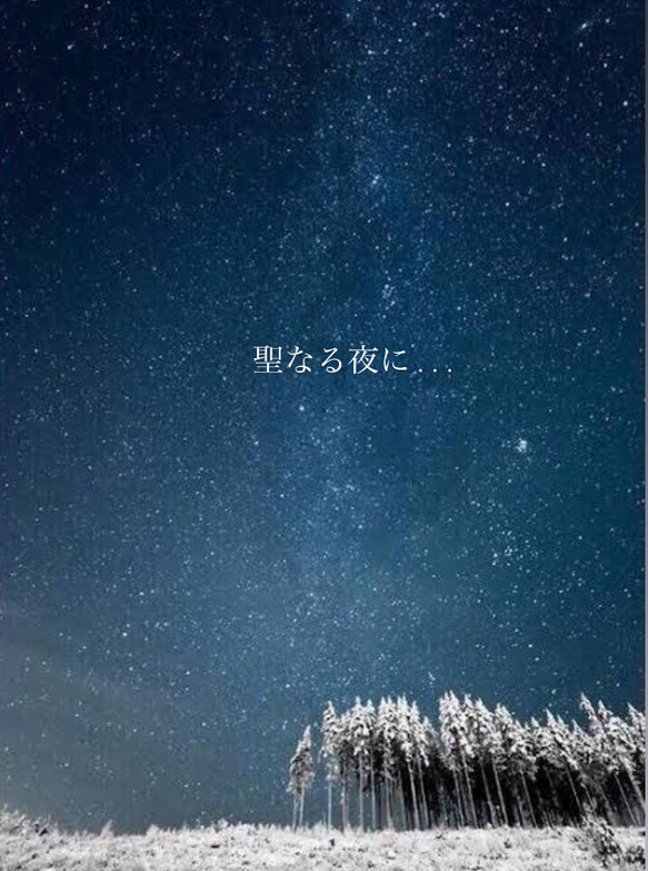 Noël   聖夜　掛け飾り 3枚目の画像